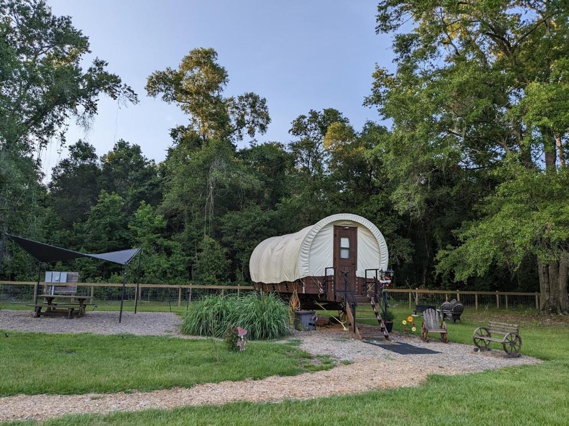 Rooterville Animal Sanctuary Melrose Exterior photo