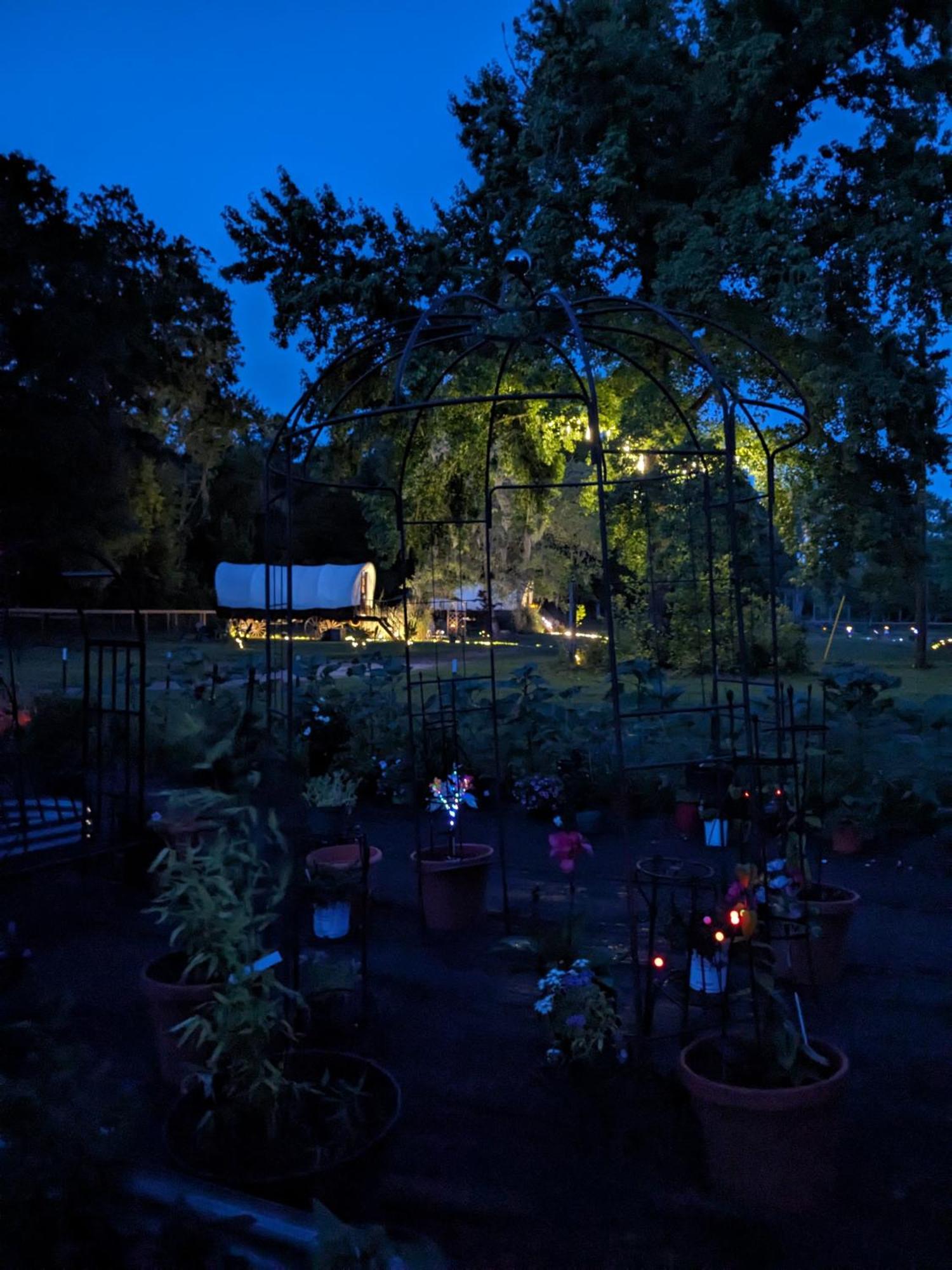 Rooterville Animal Sanctuary Melrose Exterior photo