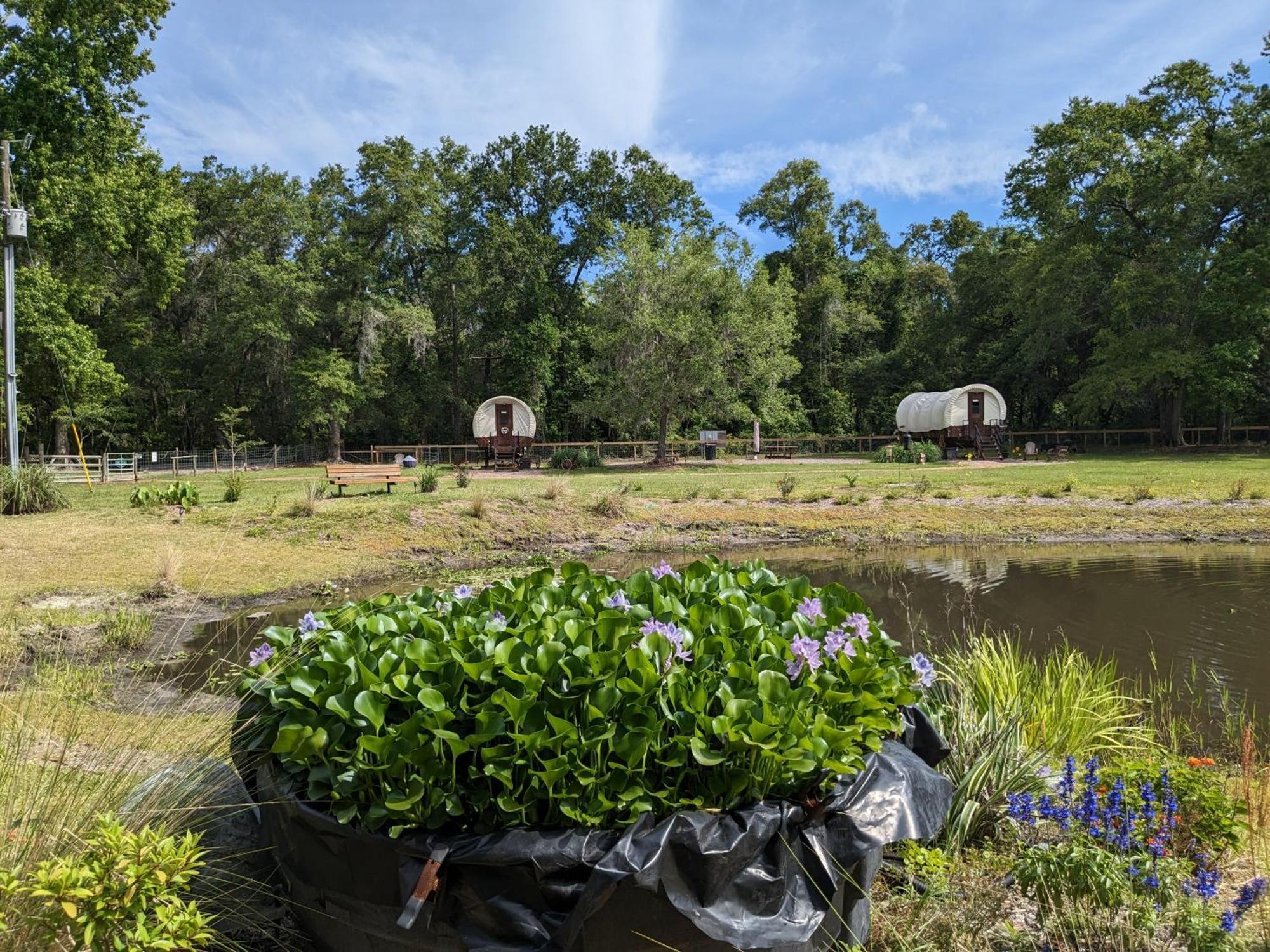 Rooterville Animal Sanctuary Melrose Exterior photo